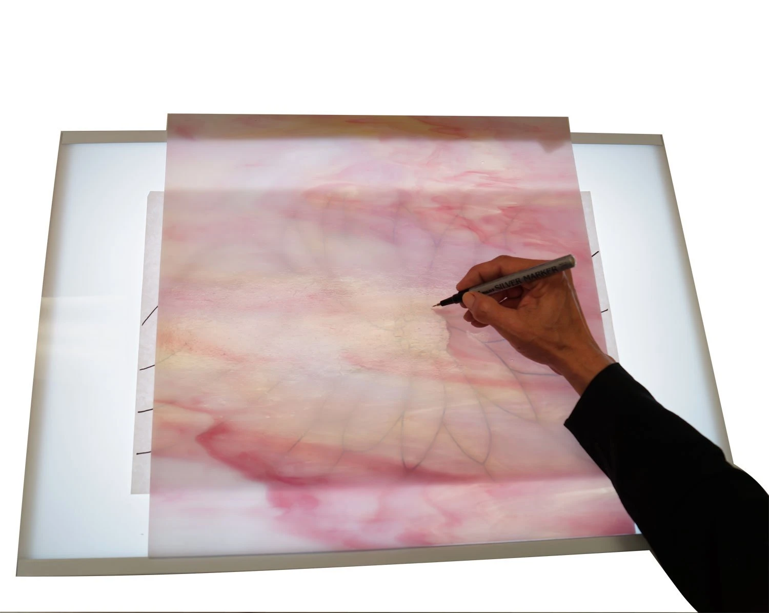 Color Corrected Replacement Bulb 5 Color Corrected Replacement Bulb - Image 5