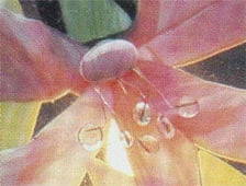 24 Gauge High Temp Wire 4 24 Gauge High Temp Wire - Image 4