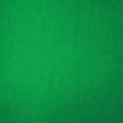 Bullseye Kelly Green Transparent Double Rolled - 90 COE -Odyssey Cheap Store 173118 30