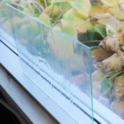 Clear Glacier -Odyssey Cheap Store 173820 20