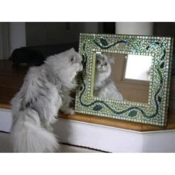 Double Strength Mirror 9 Double Strength Mirror -Odyssey Cheap Store 174069 30