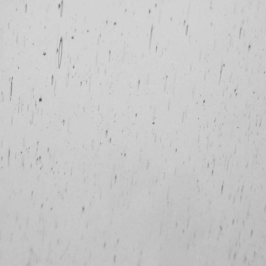 Clear Seedy 1 Clear Seedy