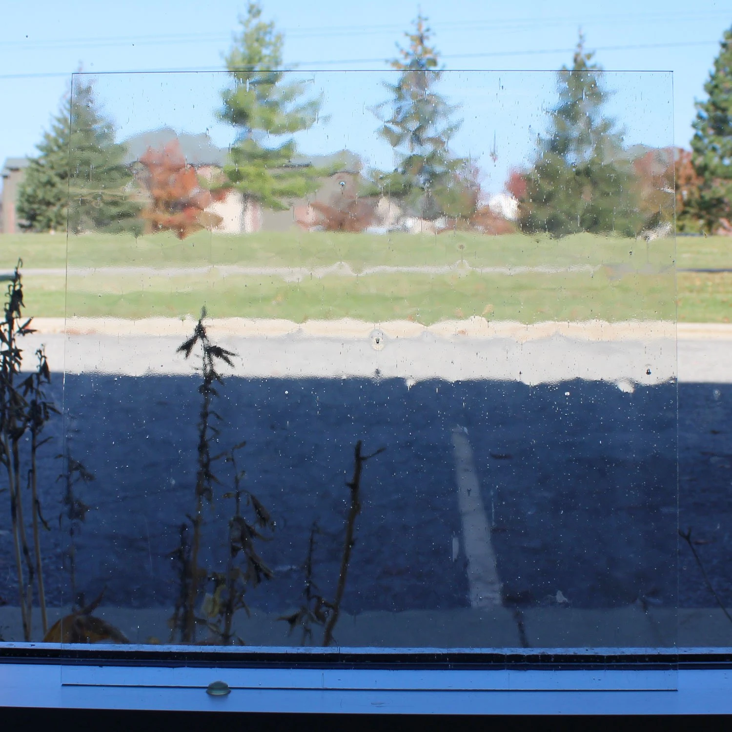 Clear Seedy 2 Clear Seedy - Image 2