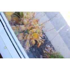 Clear Seedy 9 Clear Seedy -Odyssey Cheap Store 174154 30