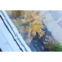 Clear Reamy -Odyssey Cheap Store 174934 30