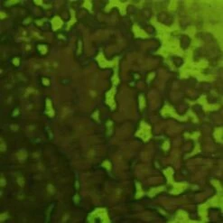 Youghiogheny Emerald Green Opal Mottle -Odyssey Cheap Store 176413 70