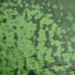 Youghiogheny Emerald Green Opal Mottle -Odyssey Cheap Store 176413 90