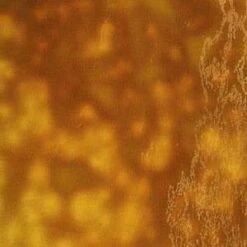 Youghiogheny Autumn Gold, Yellow Reproduction -Odyssey Cheap Store 176501 50