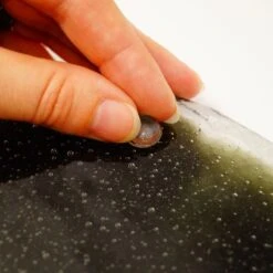 Self-Adhesive Clear Rubber Feet -Odyssey Cheap Store 182800 50