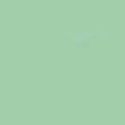 Bullseye Mint Green Opal Double Rolled - 90 COE