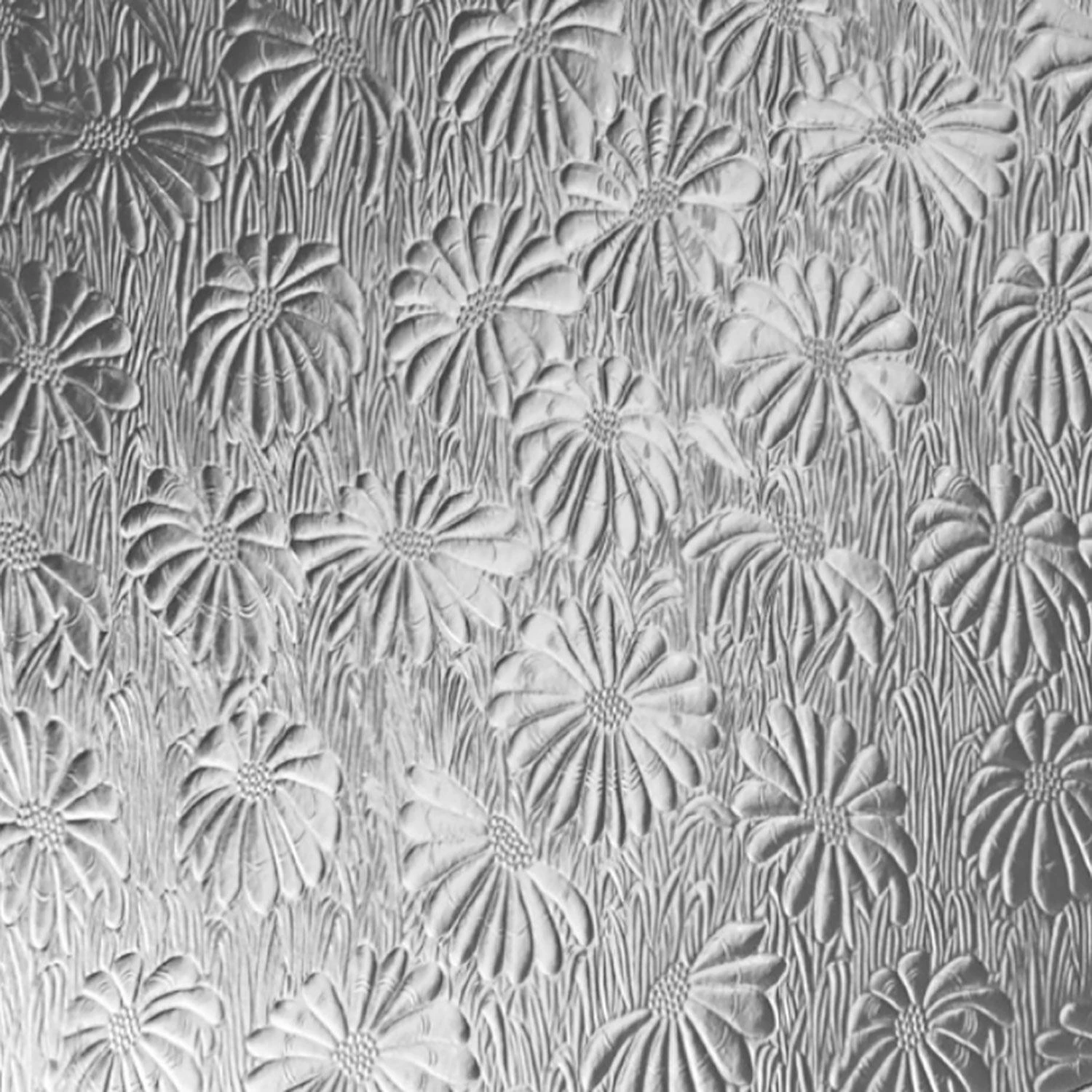 Clear Mayflower 1 Clear Mayflower