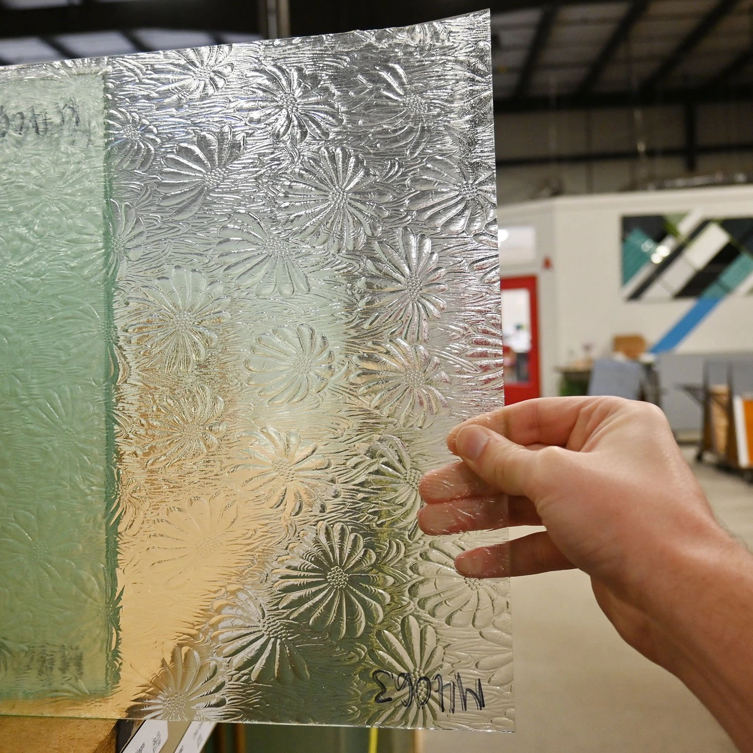 Clear Mayflower 3 Clear Mayflower - Image 3