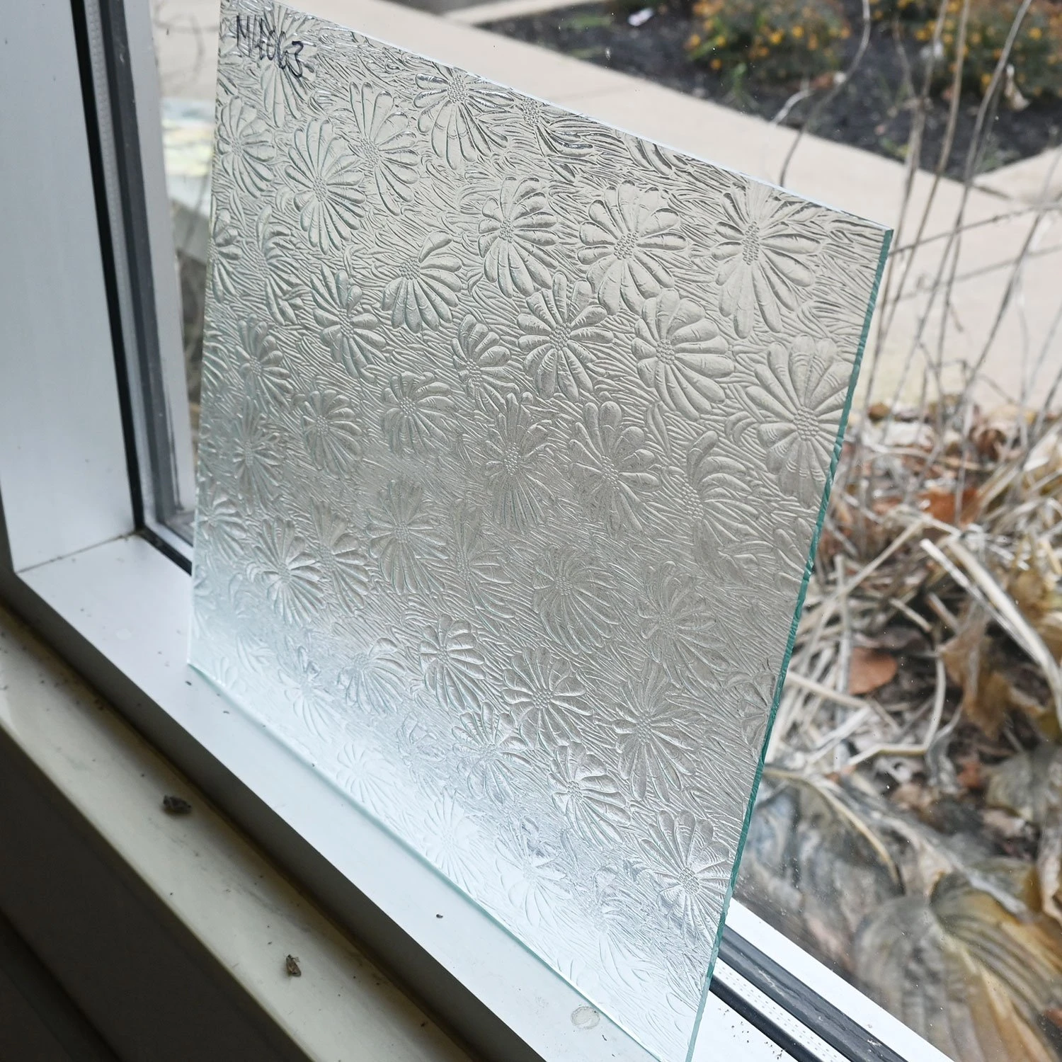 Clear Mayflower 6 Clear Mayflower - Image 6