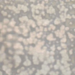 Youghiogheny White Mottle