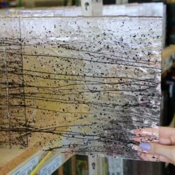 Bullseye Black On Clear Mardi Gras - 90 COE -Odyssey Cheap Store 198539 40