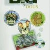 Jennells Big Book Of Dogs With CD