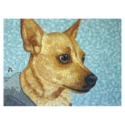 Jennells Big Book Of Dogs With CD -Odyssey Cheap Store 200175 60