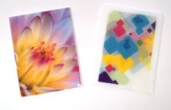 Creative Images Color Slide -Odyssey Cheap Store 204009 20