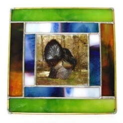 Creative Images Color Slide -Odyssey Cheap Store 204009 40