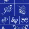 Rub N Etch Stencil - Butterfly Assortment
