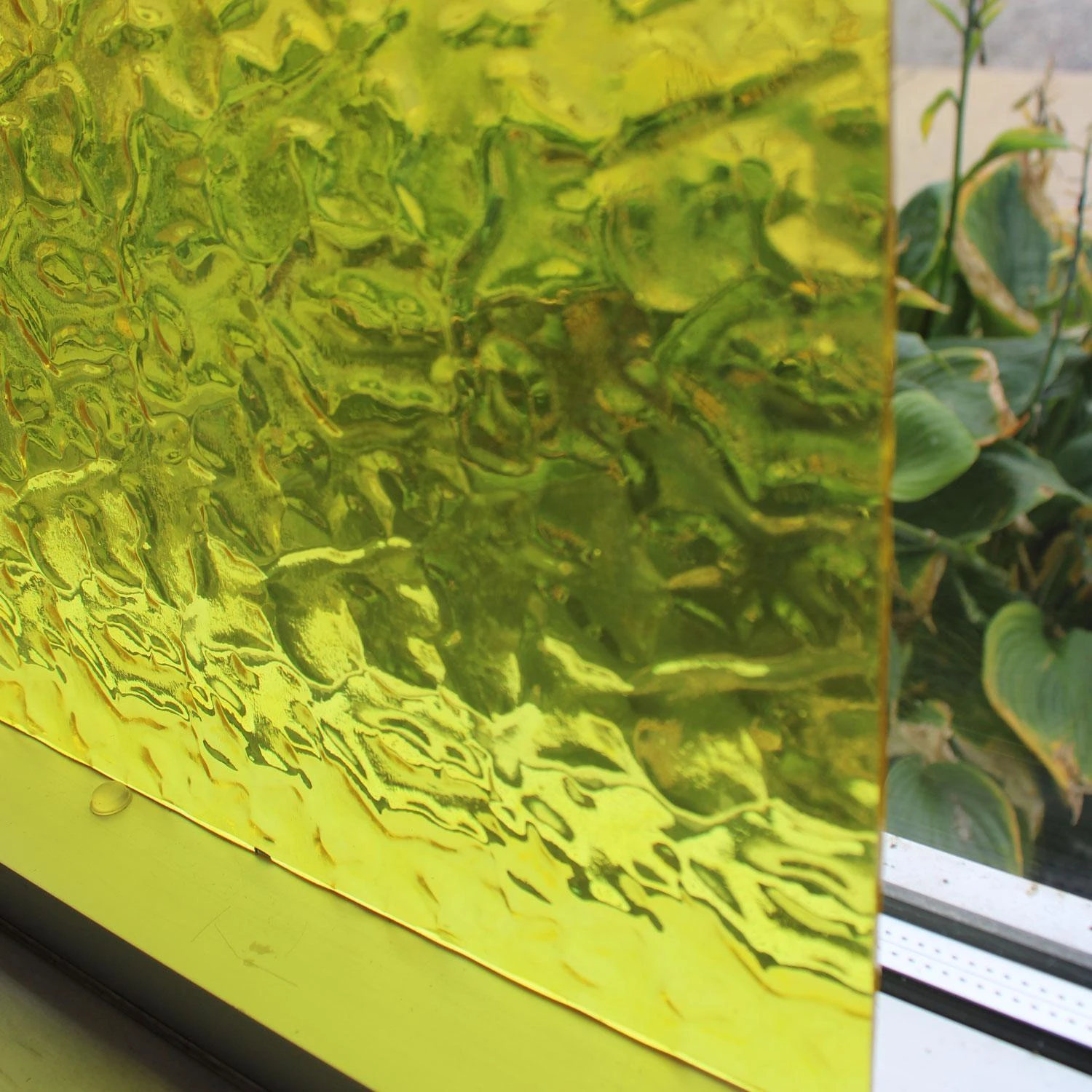 Wissmach Yellow Transparent Flemish 3 Wissmach Yellow Transparent Flemish - Image 3