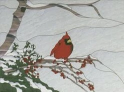 Nature's Splendor -Odyssey Cheap Store 207901 40