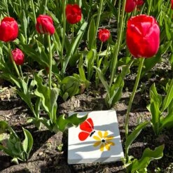 Black-Eyed Susan Fusible Pre-Cut - 90 COE -Odyssey Cheap Store 214374 40