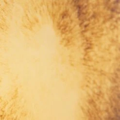 MLW Galaxy Mirror -Odyssey Cheap Store 220108 20