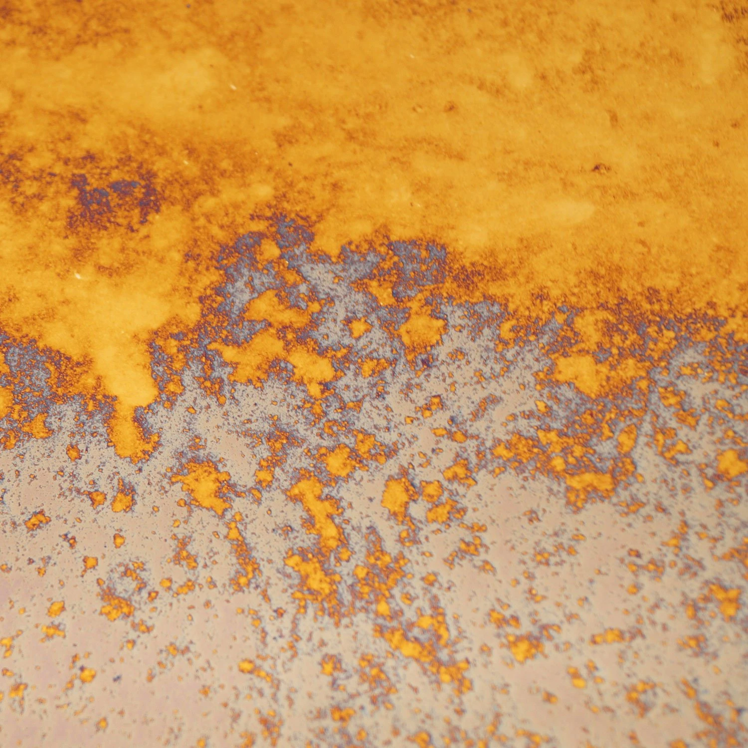 MLW Gilded Mirror 2 MLW Gilded Mirror - Image 2