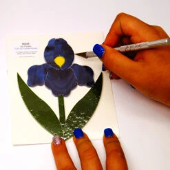 Purple Iris Fusible Pre-Cut - 90 COE -Odyssey Cheap Store 227521 40