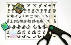 Bug Off Black Enamel Decals -Odyssey Cheap Store 227744 20