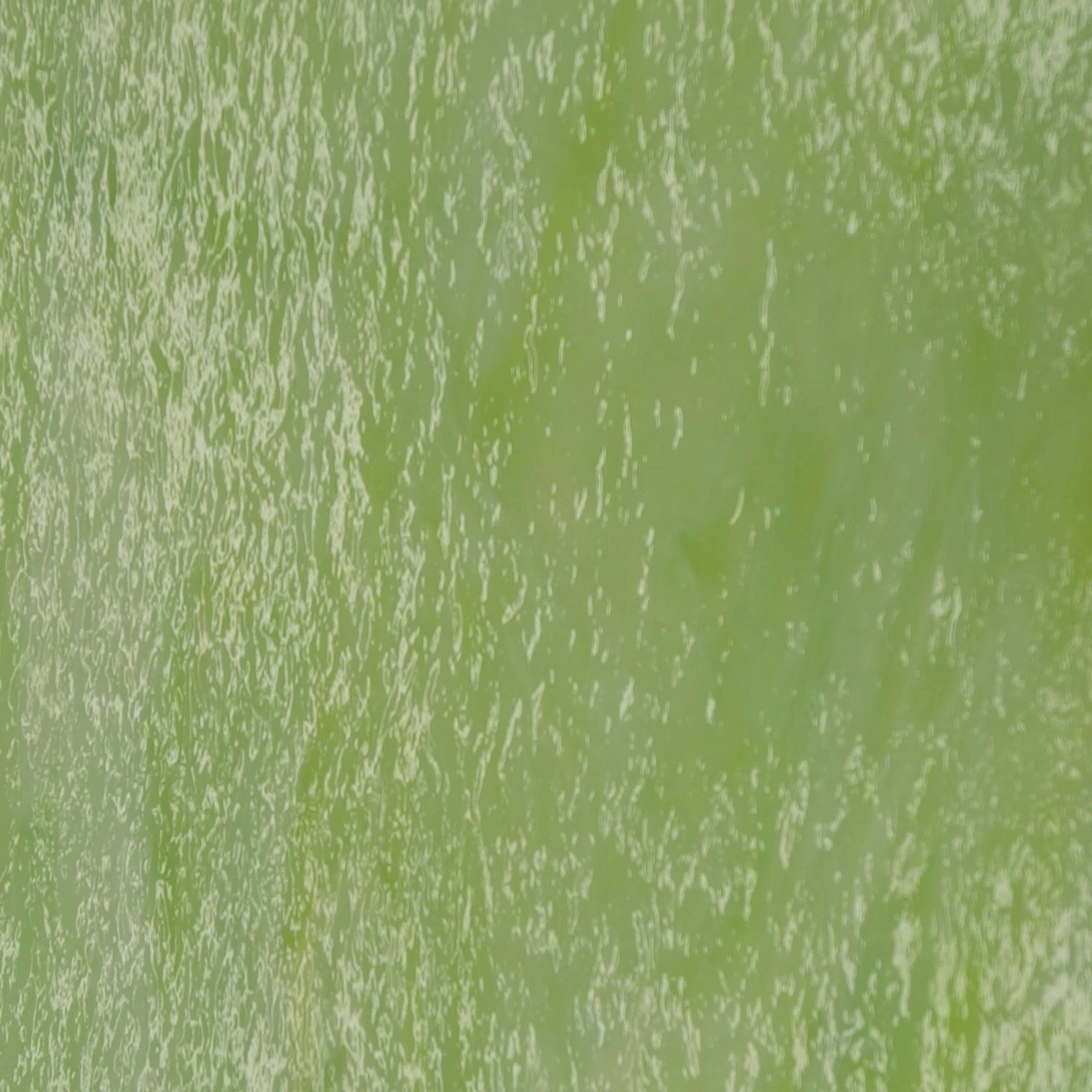 Oceanside Key Lime Pearl Opal - 96 COE 4 Oceanside Key Lime Pearl Opal - 96 COE - Image 4