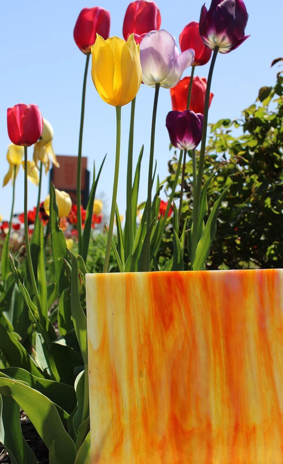 Oceanside Inferno Pearl Opal - 96 COE 7 Oceanside Inferno Pearl Opal - 96 COE - Image 7