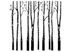 Birch Trees Black Enamel Decal