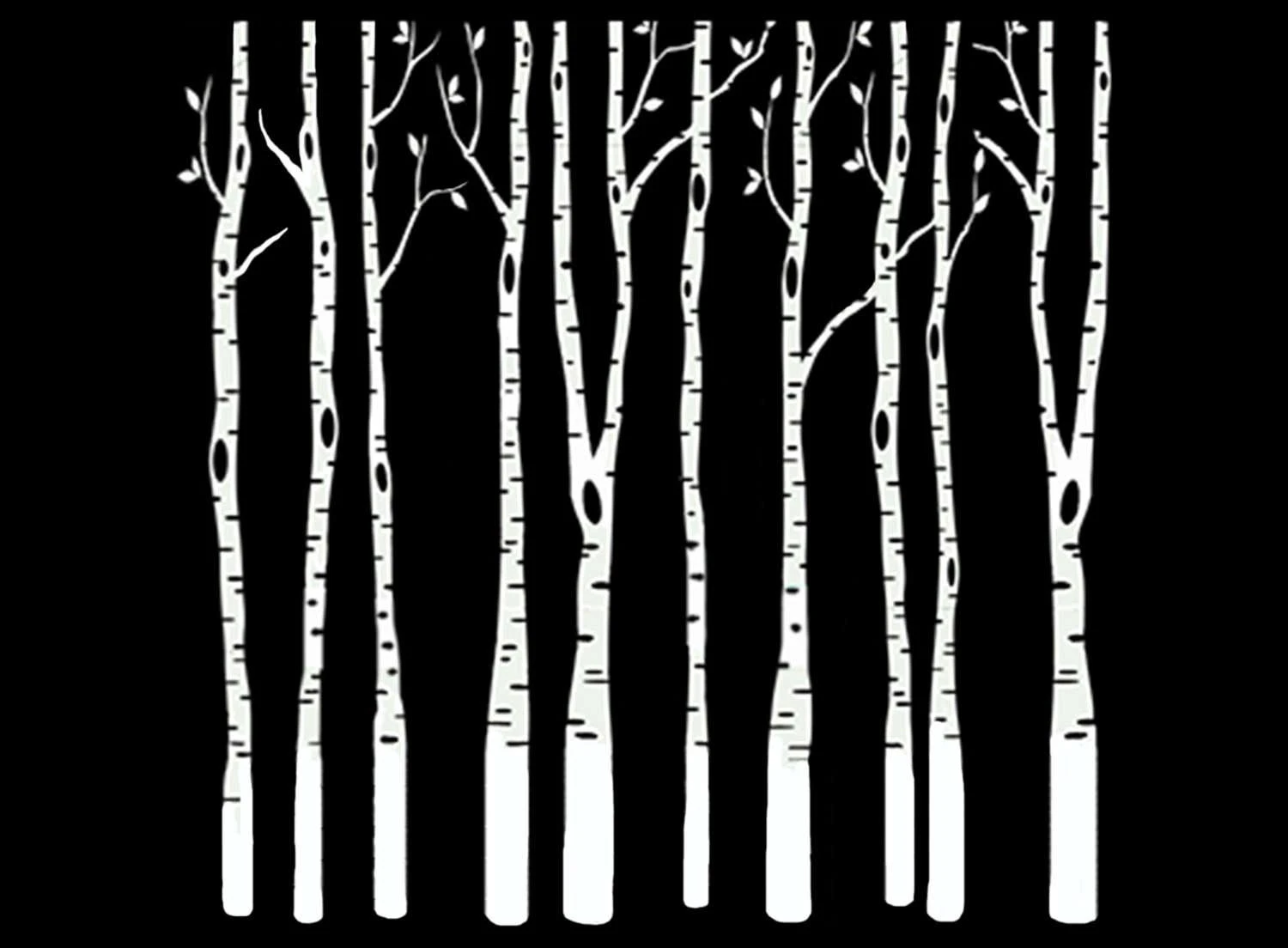 Birch Trees White Enamel Decal 1 Birch Trees White Enamel Decal