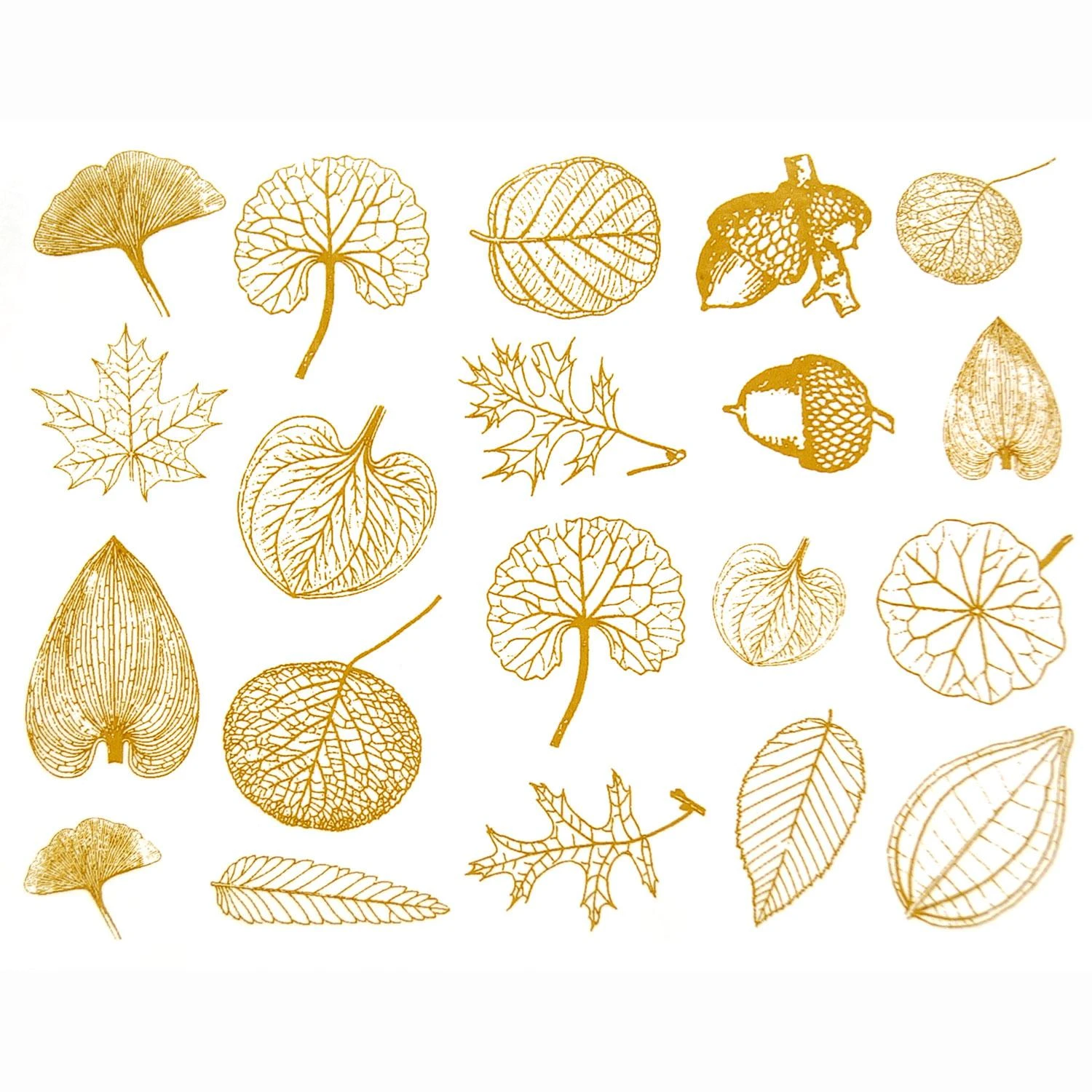 Gold Leaf Decals 1 Gold Leaf Decals