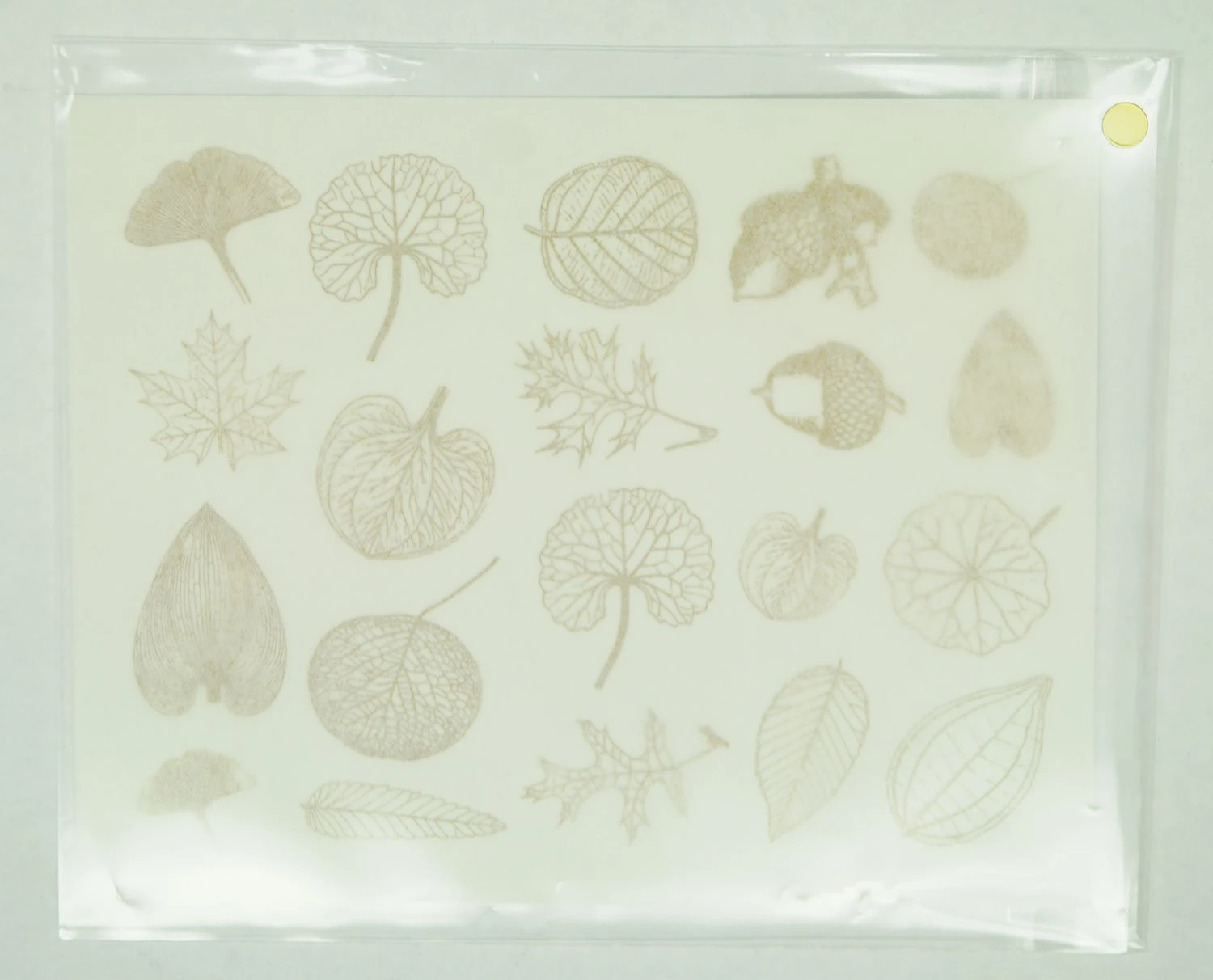 Gold Leaf Decals 2 Gold Leaf Decals - Image 2