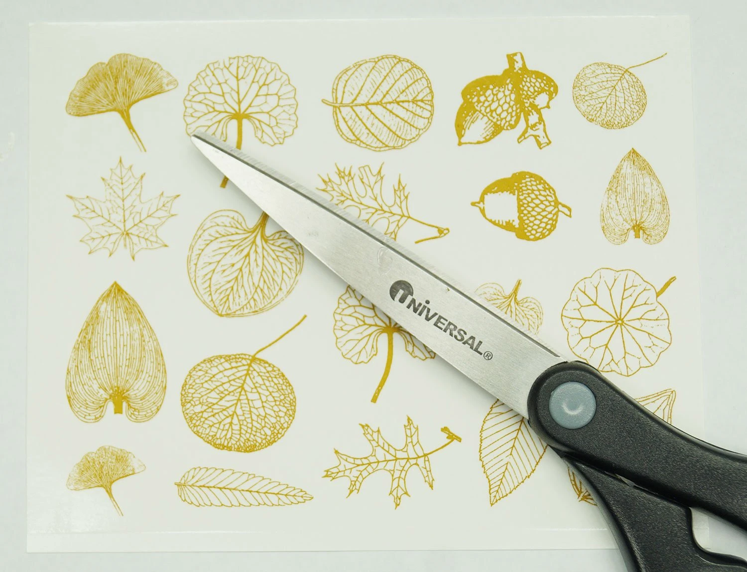 Gold Leaf Decals 4 Gold Leaf Decals - Image 4