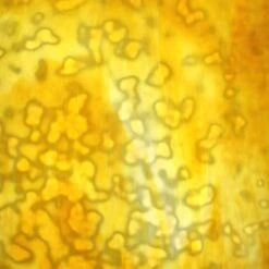 Uro Amber And Lemon Yellow On White Mottle -Odyssey Cheap Store 234424 70