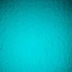 Wissmach Medium Teal Blue/Green