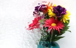 Wissmach Clear Transparent Flemish -Odyssey Cheap Store 235106 70