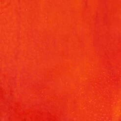 Wissmach Light Orange Corella Classic