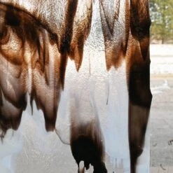 Delphi Superior Black, White And Clear Streaky - 90 COE 12 Delphi Superior Black, White And Clear Streaky - 90 COE -Odyssey Cheap Store 238987 50