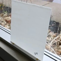 Delphi Superior White Opal - 90 COE -Odyssey Cheap Store 239074 20